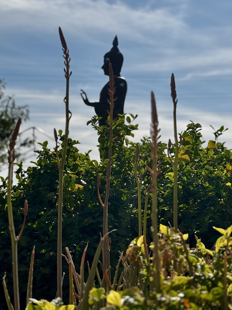 Photo of Wat Samakki of Arizona