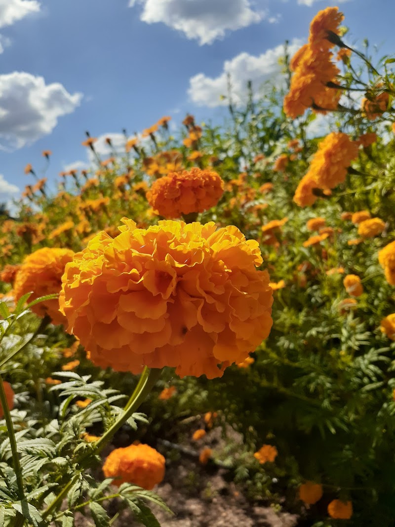 Riquiz Farm photo 5