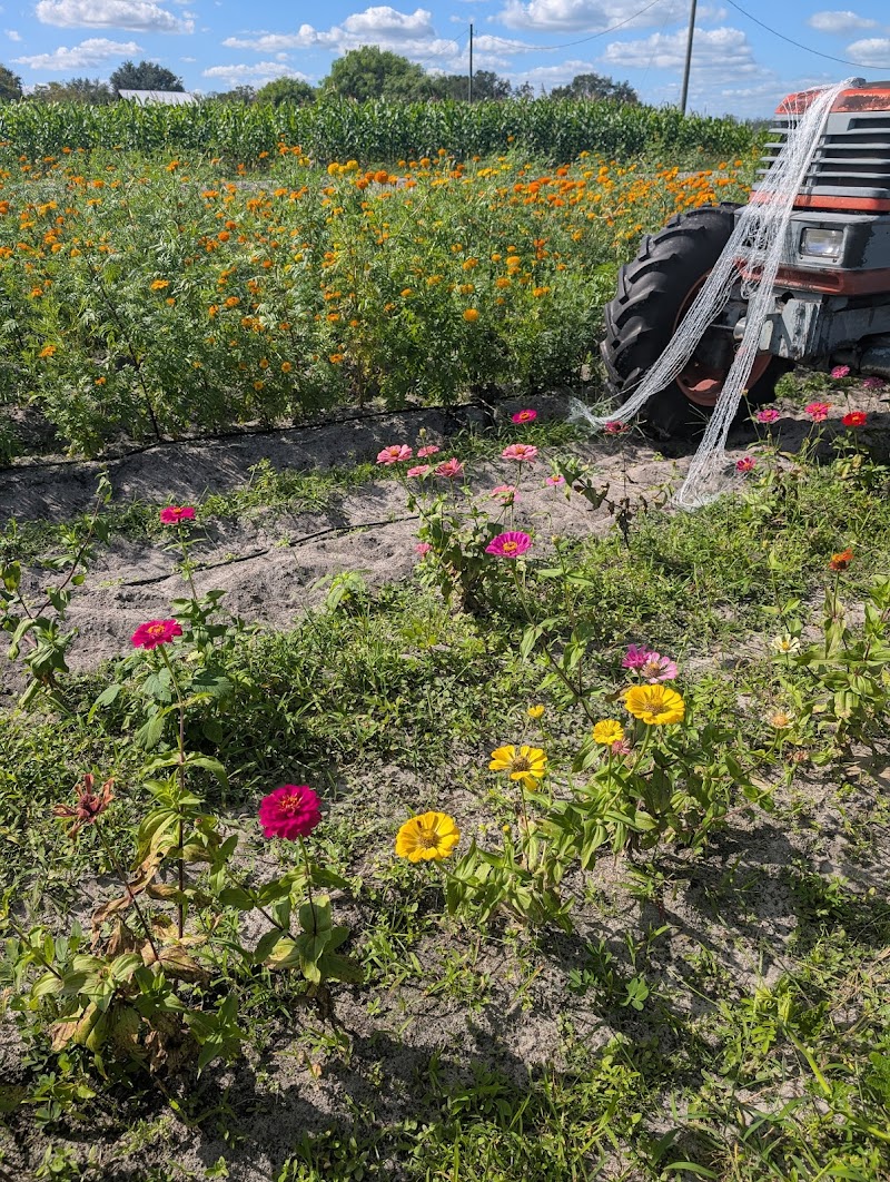 Riquiz Farm photo 3