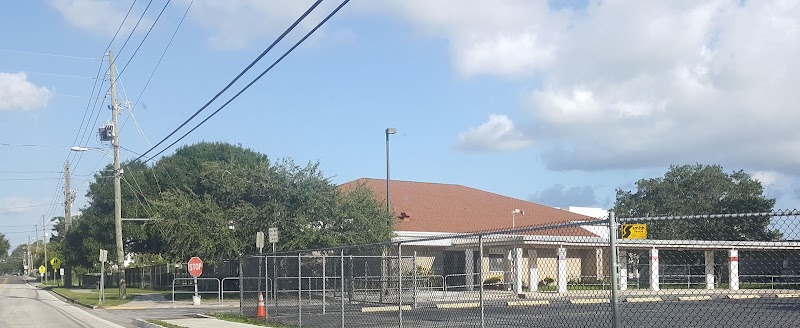 Safety Harbor Elementary School photo 4
