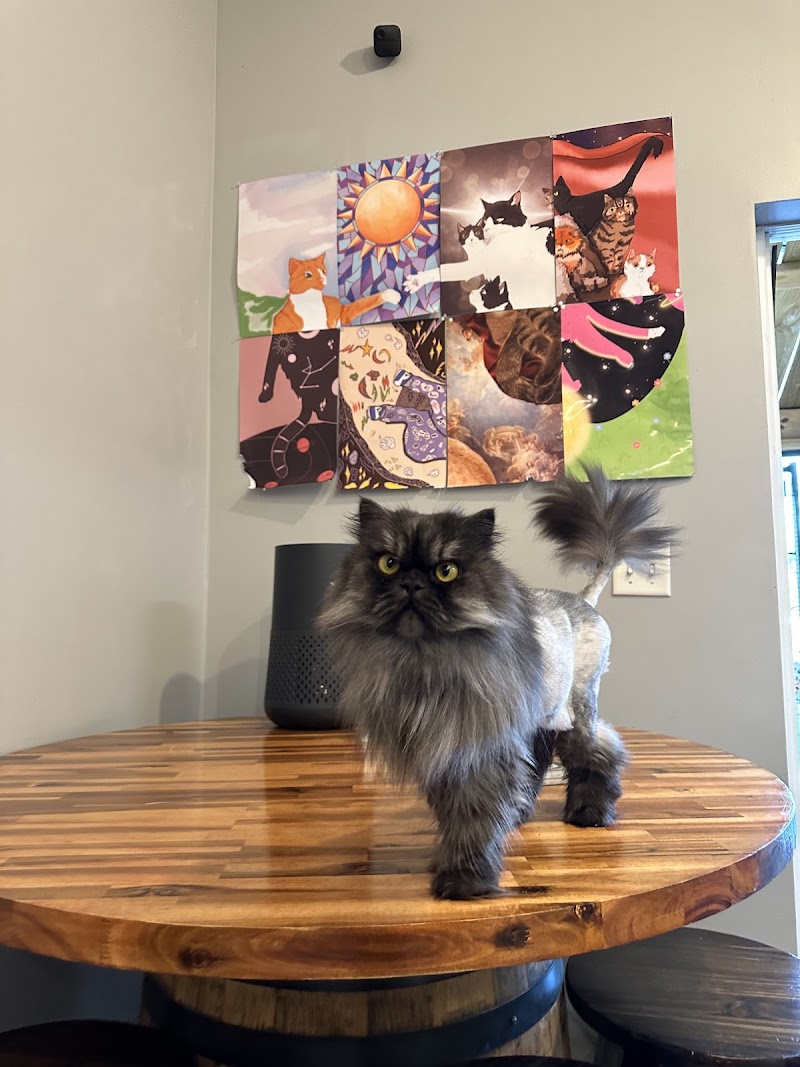 Tortitude Cat Cafe photo 3