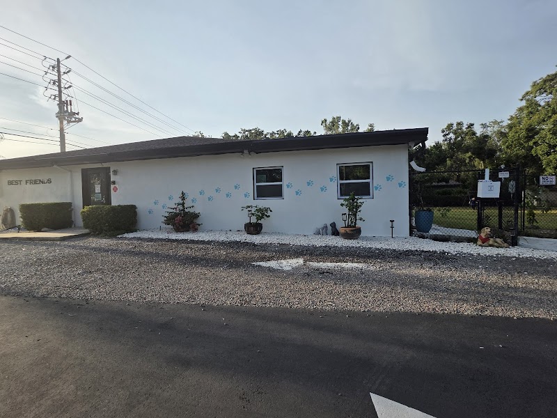 Best Friends Animal Hospital and Surgical Center photo 2