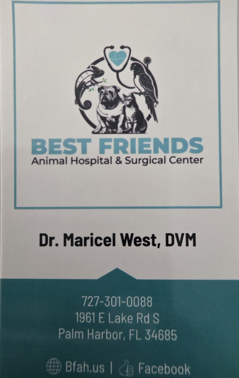Photo of Best Friends Animal Hospital and Surgical Center