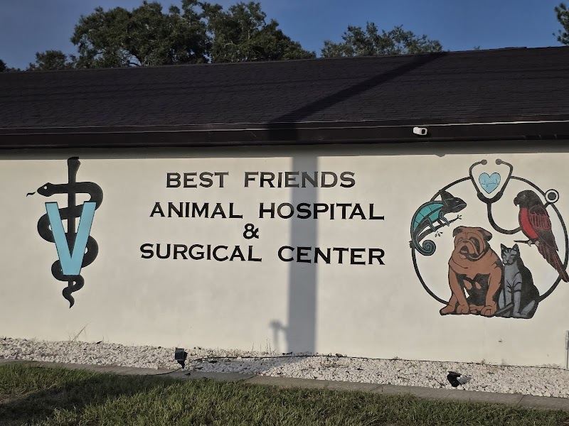 Best Friends Animal Hospital and Surgical Center photo 4