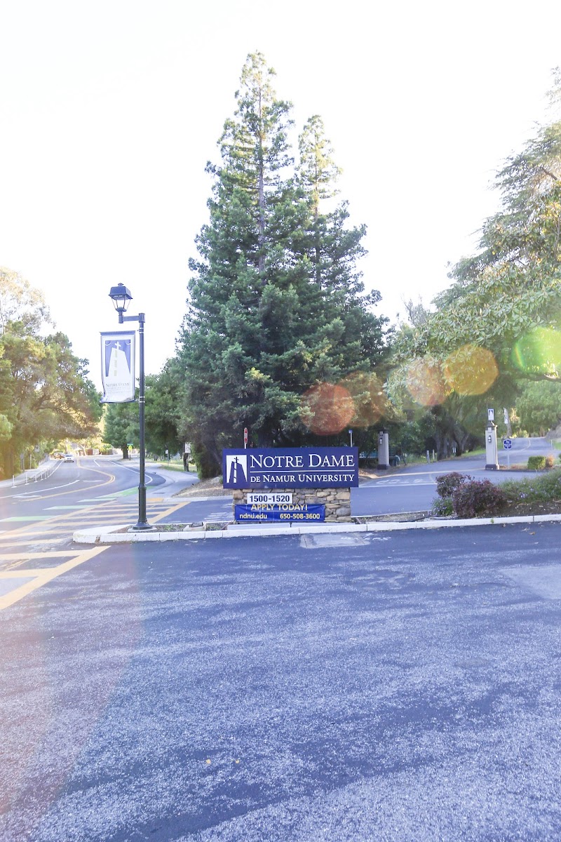 Taube Center photo 4