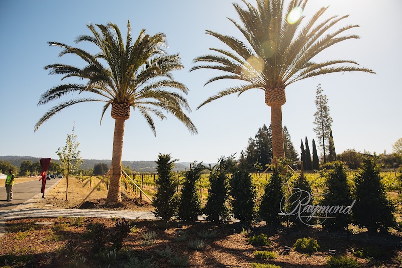 Photo of Raymond Vineyards