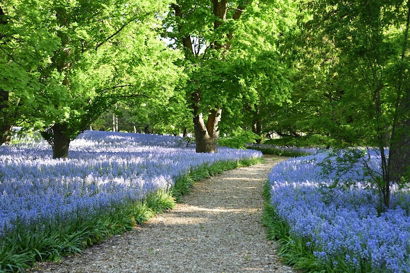 Brooklyn Botanic Garden photo 4
