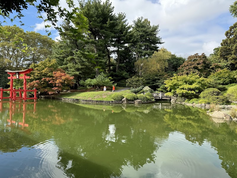 Brooklyn Botanic Garden photo 2