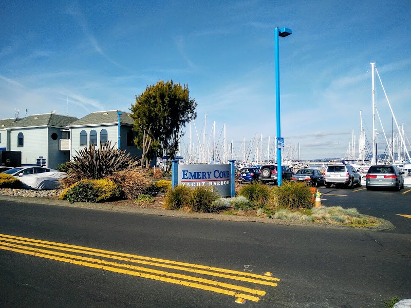 SailTime San Francisco photo 3