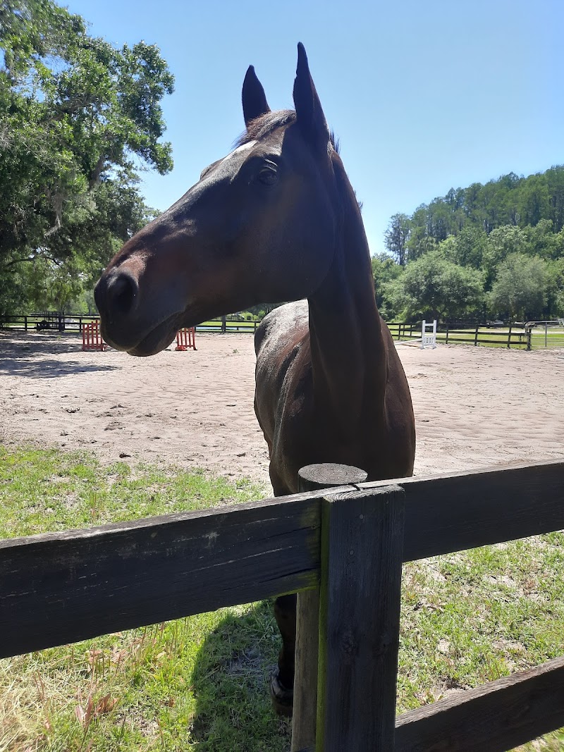 Photo of Ravenwood Farm