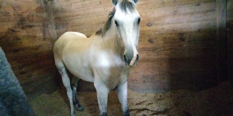Ravenwood Farm photo 5