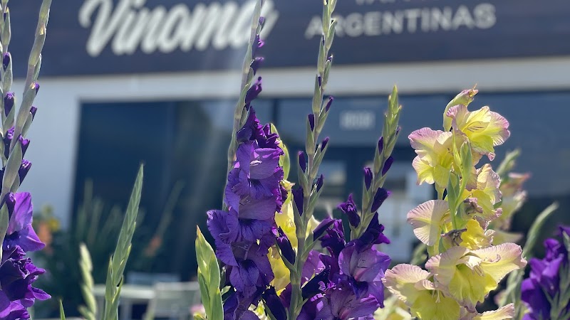 Vinoma Tapas Argentinas photo 3