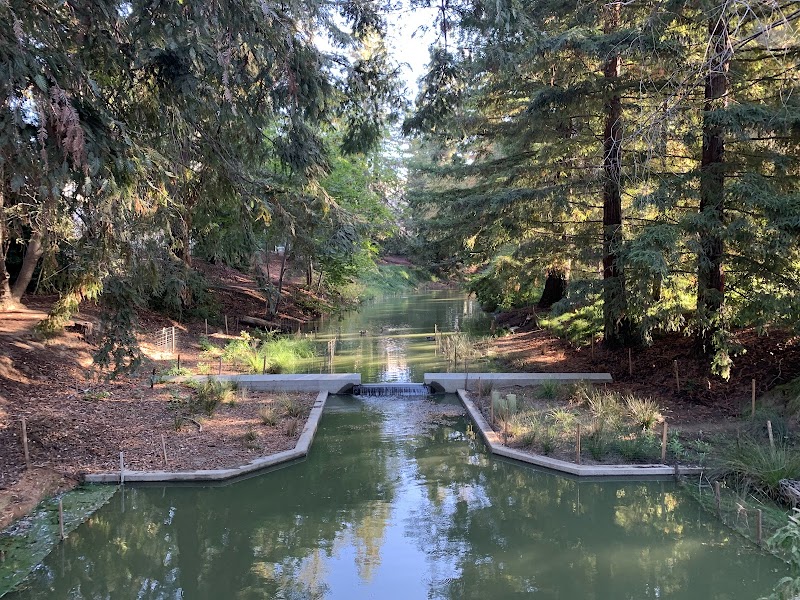 Mary Wattis Brown Garden of California Native Plants photo 4