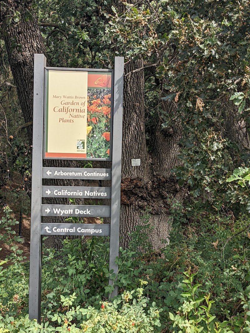 Photo of Mary Wattis Brown Garden of California Native Plants