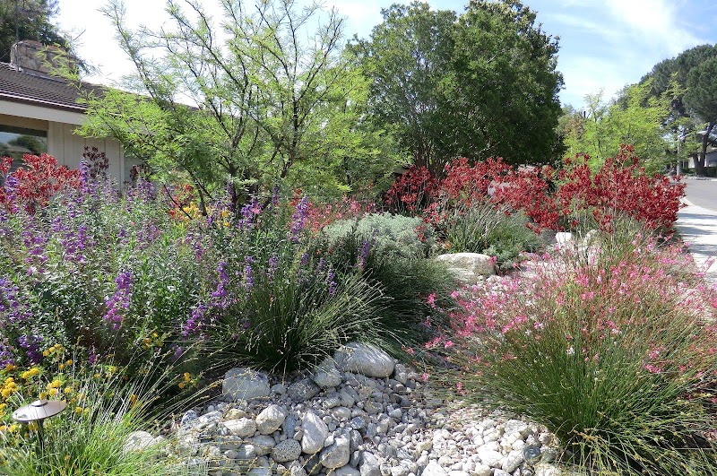 Mary Wattis Brown Garden of California Native Plants photo 2