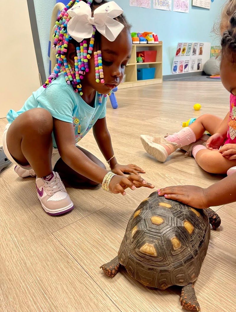 Fundamentals Early Learning II photo 4