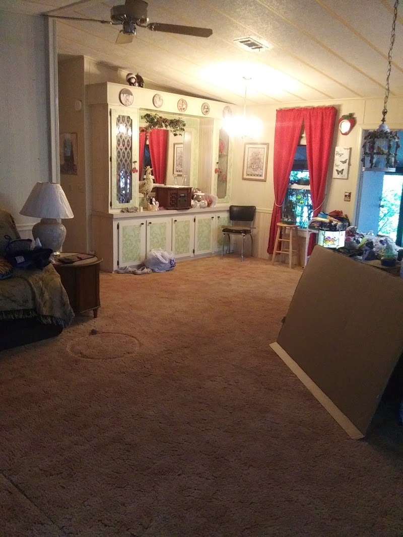 Miss Peach IV True Movers LLC photo 5