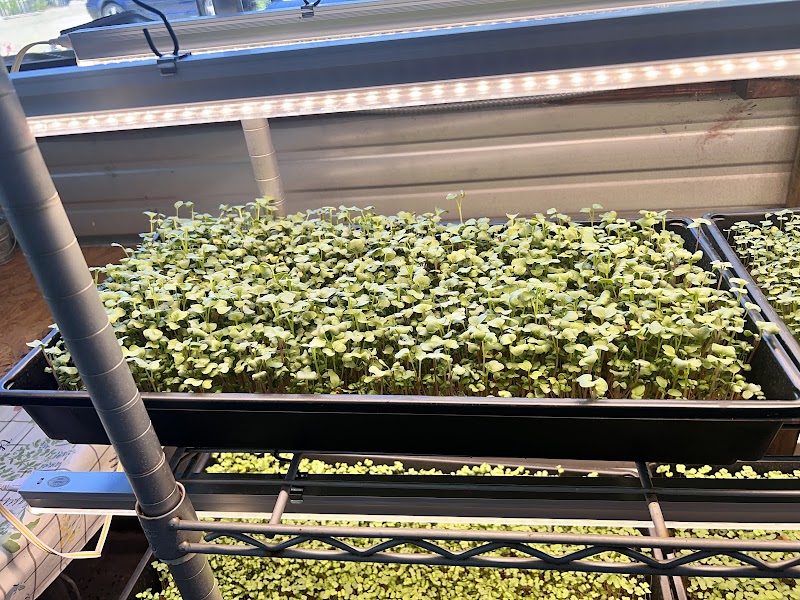 Farm and Nursery at Chianina Microtopia photo 2