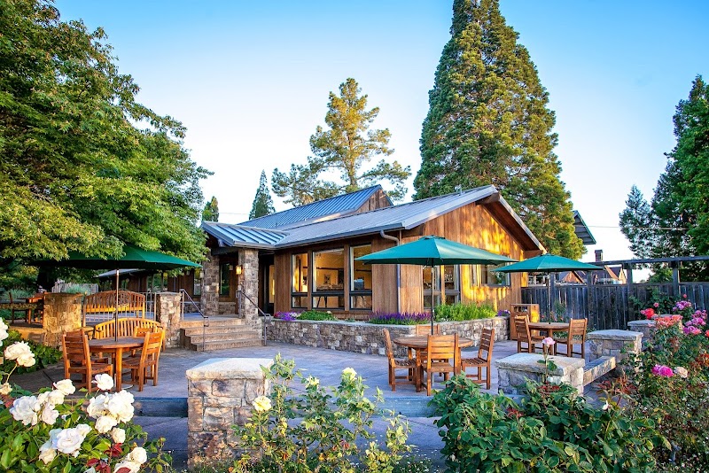 J Rochioli Vineyards & Winery photo 5