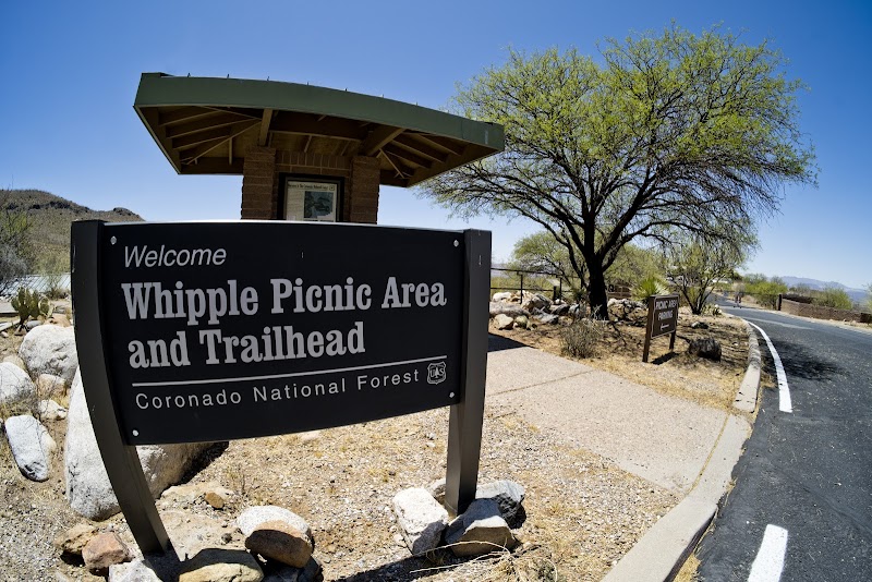 Whipple Picnic Area photo 3