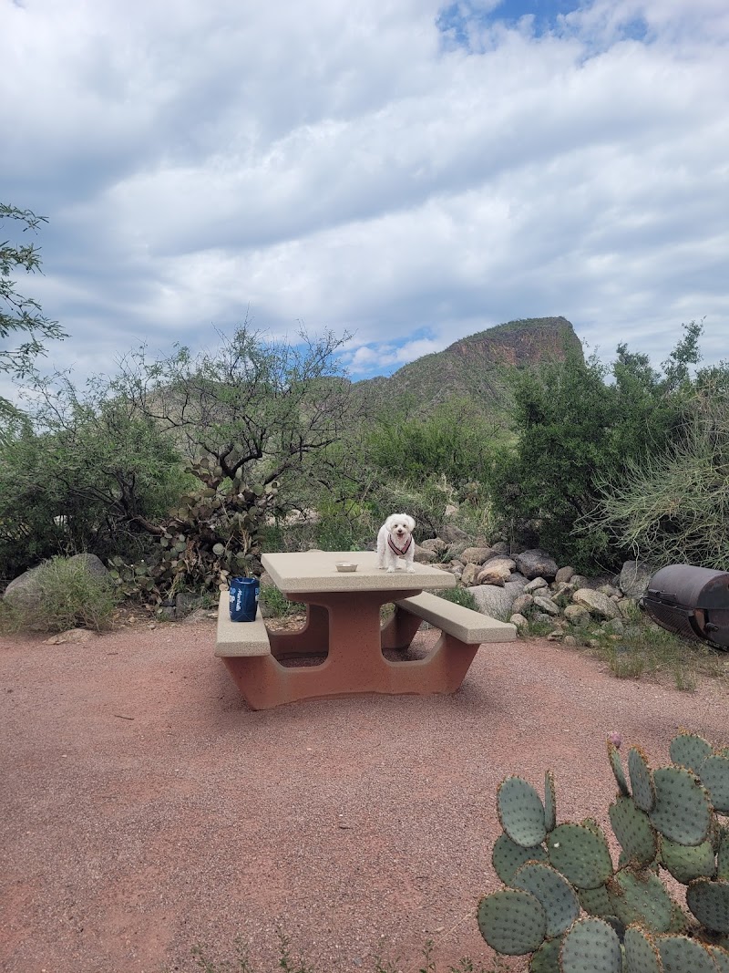 Whipple Picnic Area photo 5
