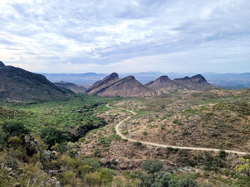 Photo of Whipple Picnic Area