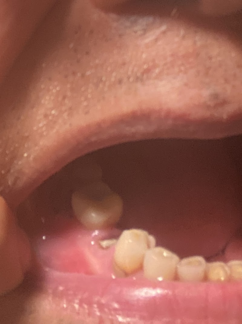 Bay Area Endodontics photo 5