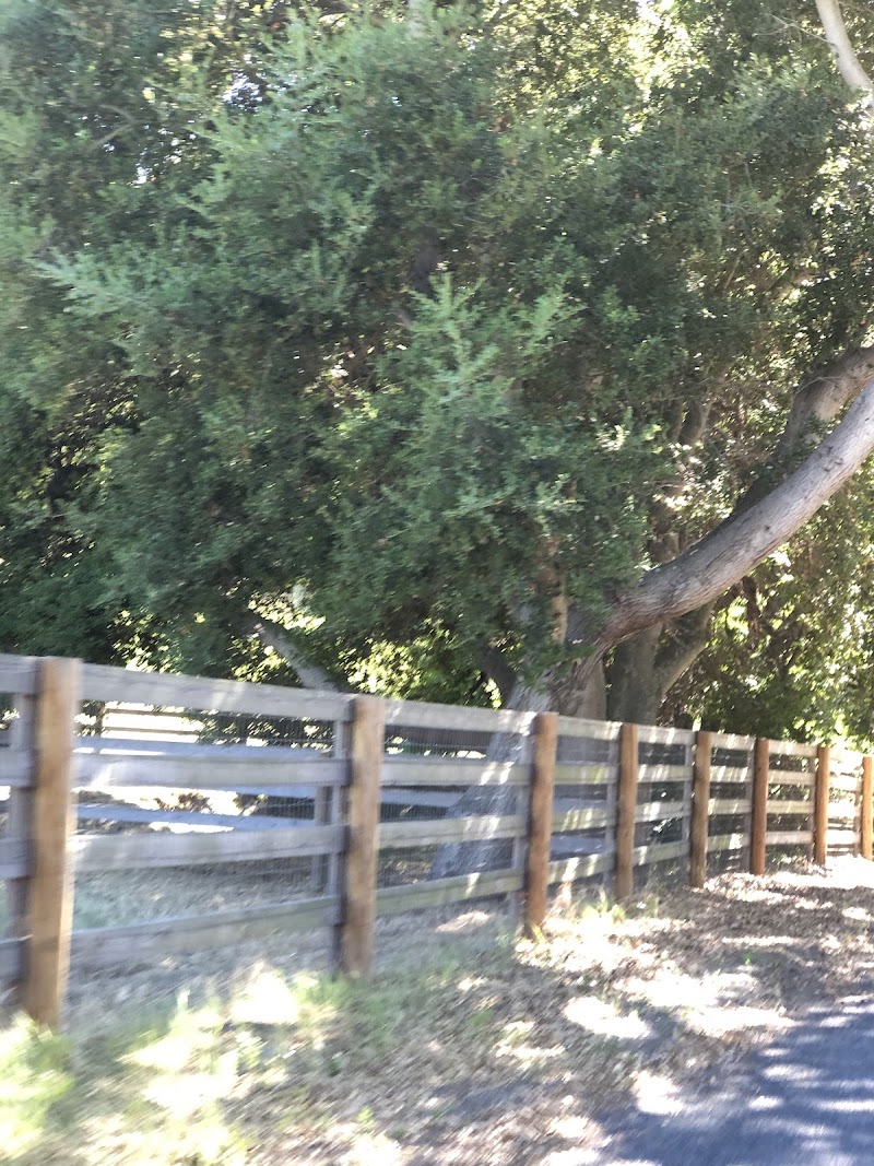 JBL Home Ranch photo 3
