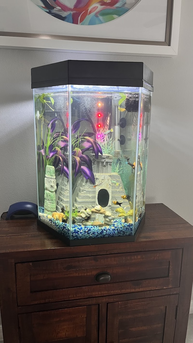 Clean Sharks Aquarium Maintenance photo 4