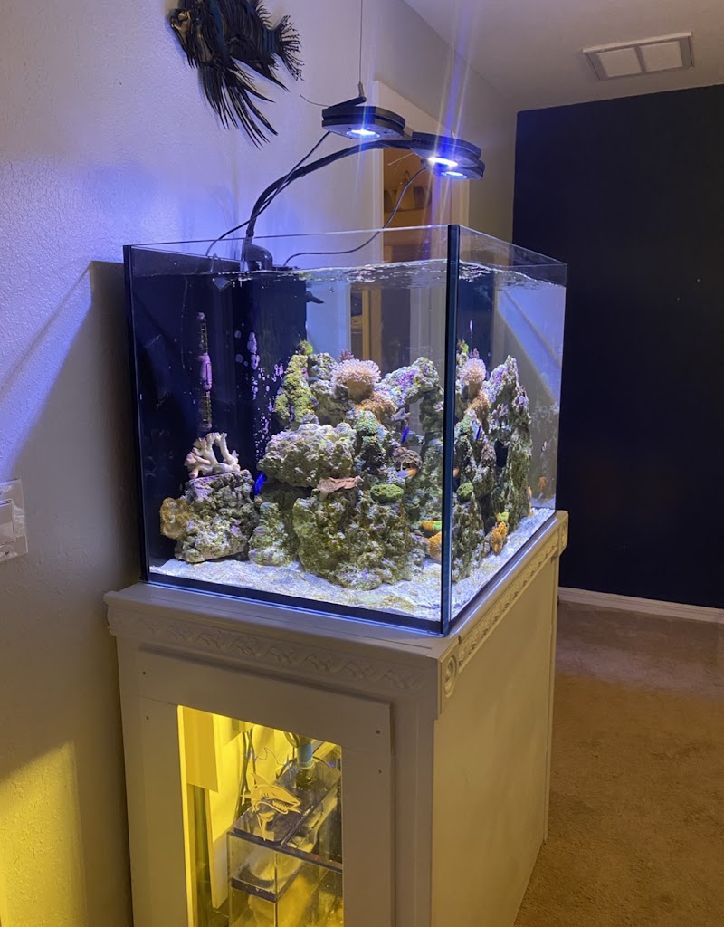 Clean Sharks Aquarium Maintenance photo 5