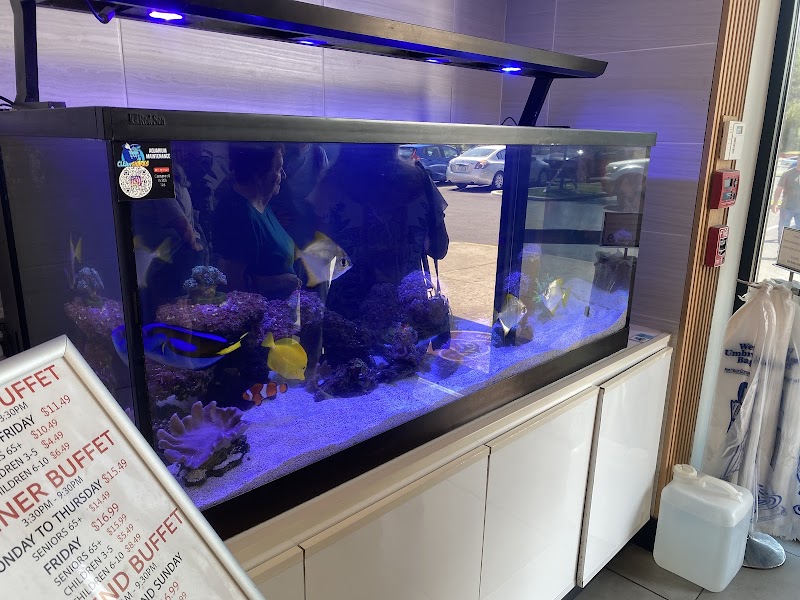 Photo of Clean Sharks Aquarium Maintenance