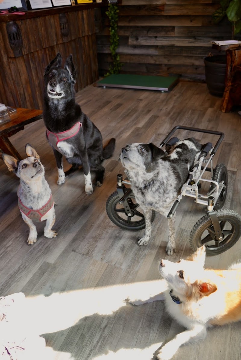 Rancho Vet photo 4