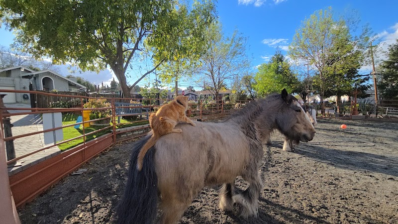 Rancho Vet photo 3