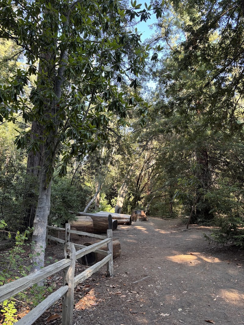 Redwood Grove Nature Preserve photo 5