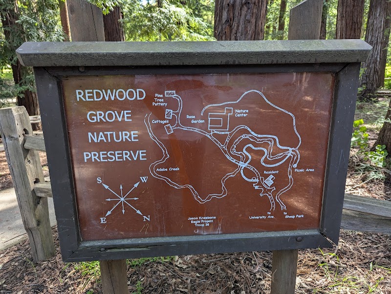 Redwood Grove Nature Preserve photo 4