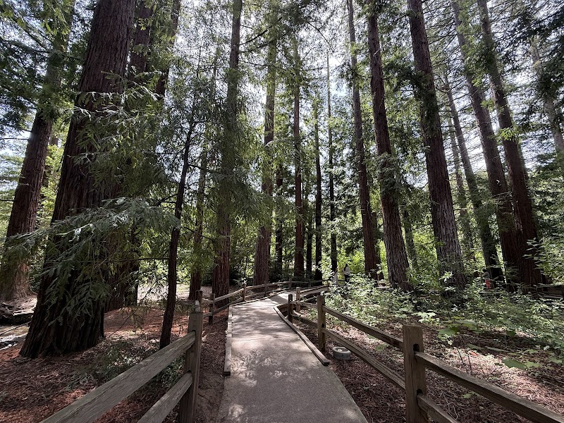 Photo of Redwood Grove Nature Preserve
