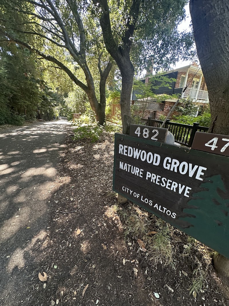Redwood Grove Nature Preserve photo 3