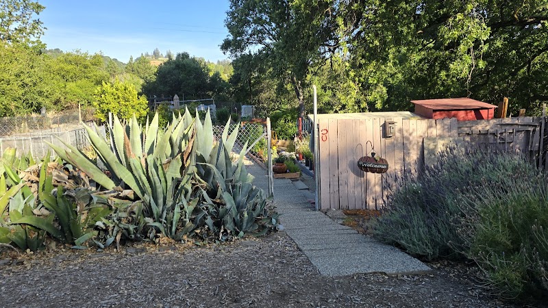 Photo of Rossmoor garden