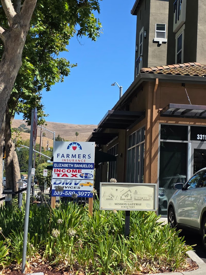 Banuelos Insurance and Tax Services photo 4
