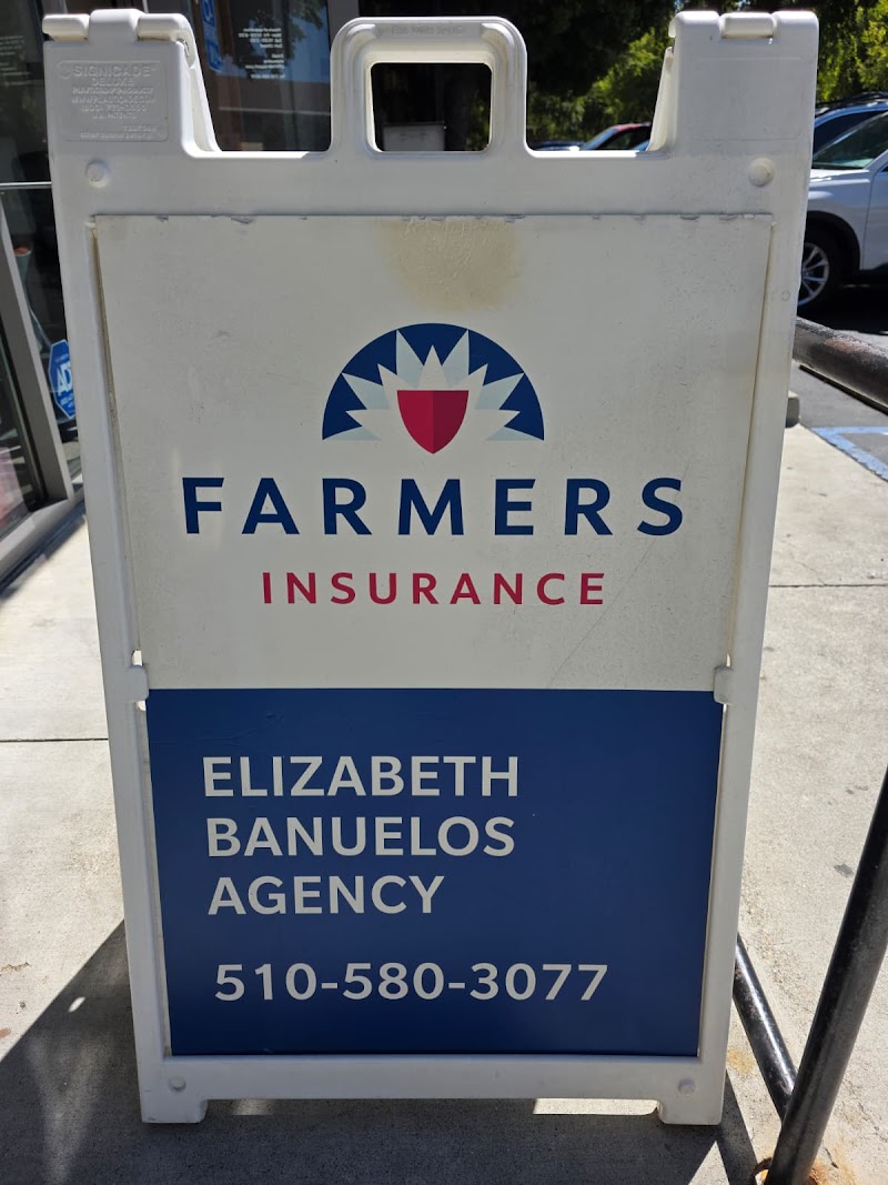 Banuelos Insurance and Tax Services photo 5