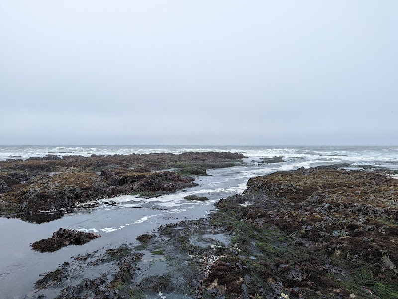 Pillar Point photo 4