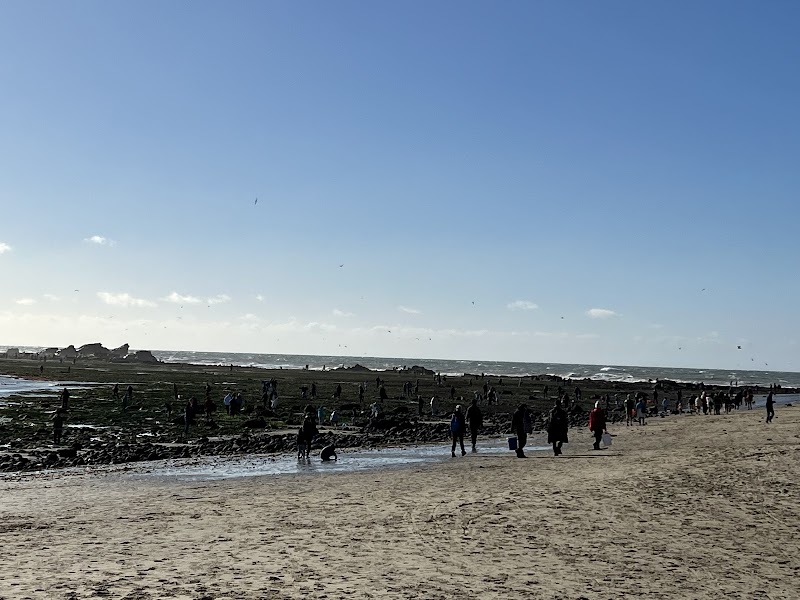 Pillar Point photo 5