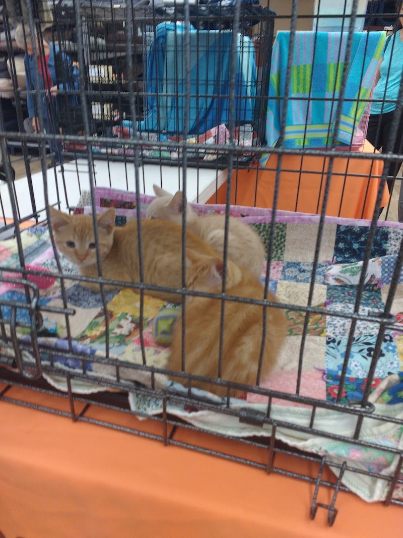 Pet Food Express photo 4