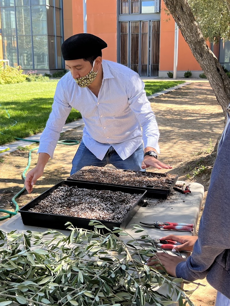 UC Davis Good Life Garden photo 4