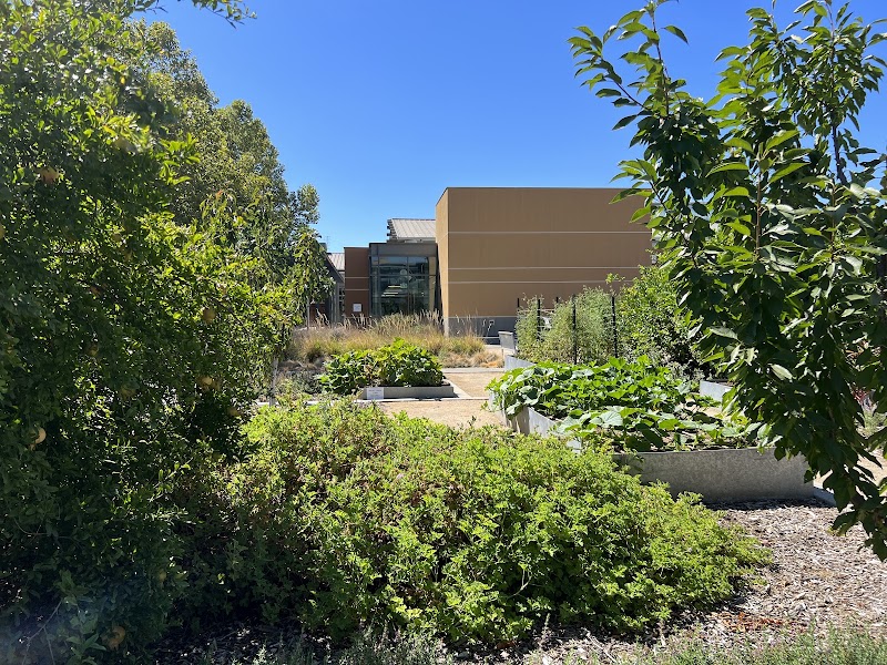 UC Davis Good Life Garden photo 3