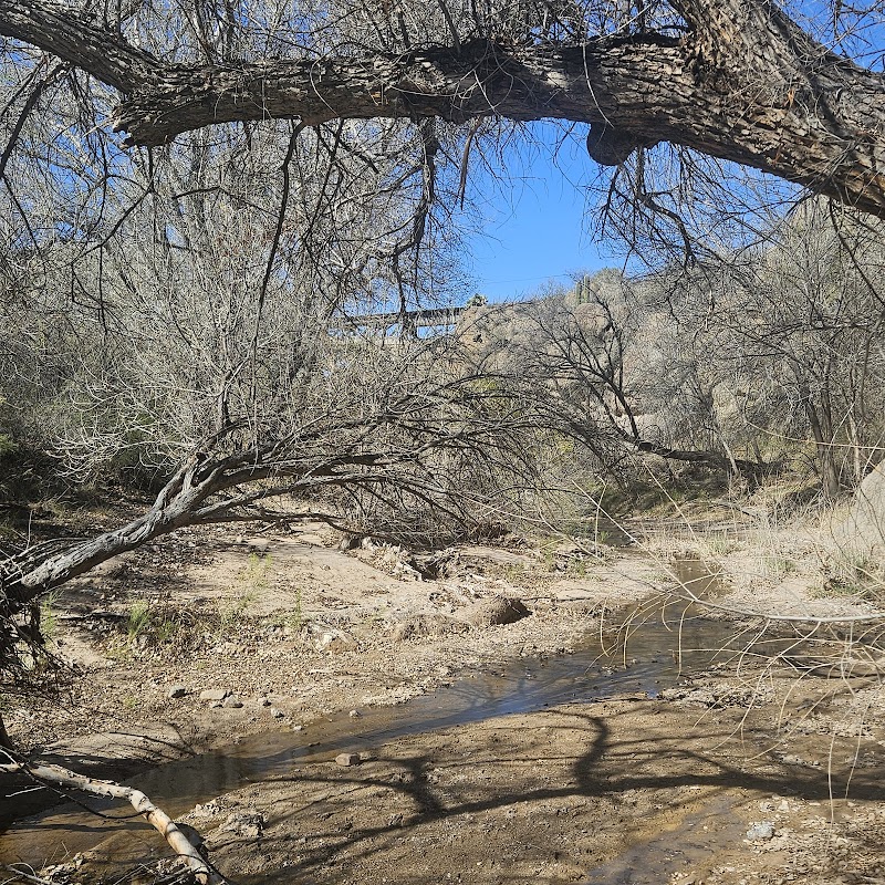 Cienega Creek Natural Preserve photo 4