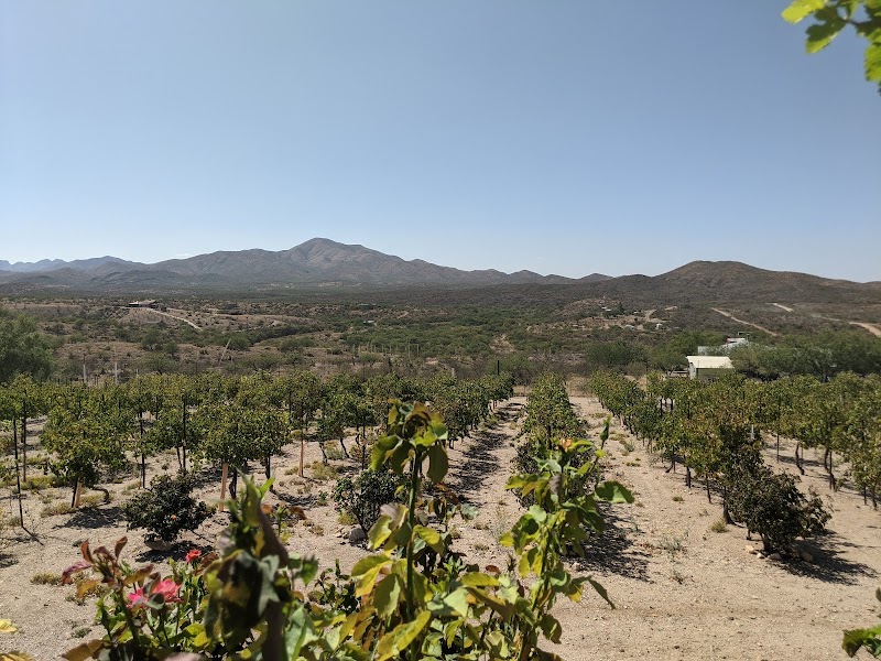 Photo of Charron Vineyards