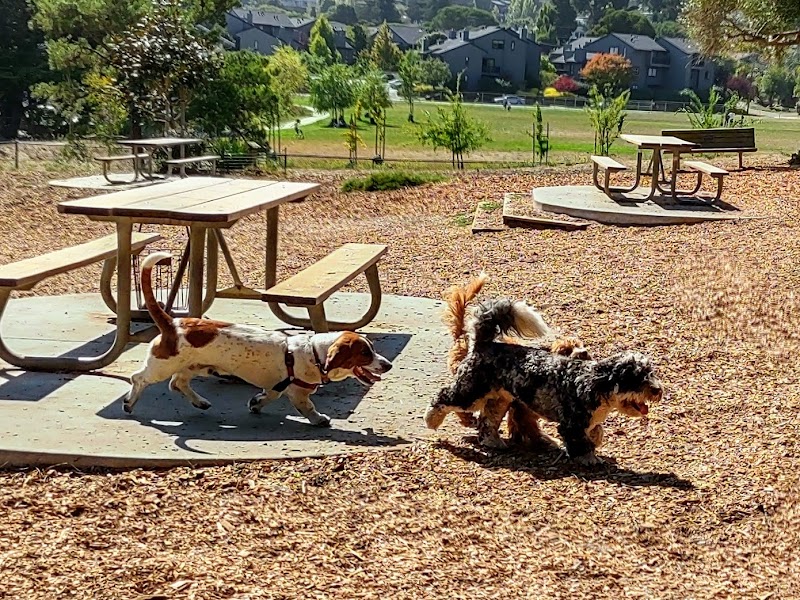 Remington Dog Park photo 4