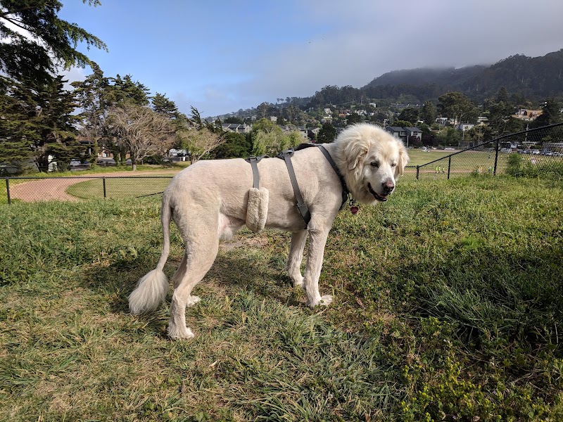 Remington Dog Park photo 5