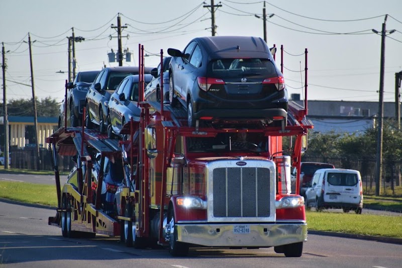 Photo of Treasure Island Transportation Systems